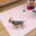 Tapete de juego y gateo doble faz. Es una alfombra de juego y gateo decorativa , para tus espacios del hogar, seguro se puedo enrrollar, antibacterial hipoalergenico